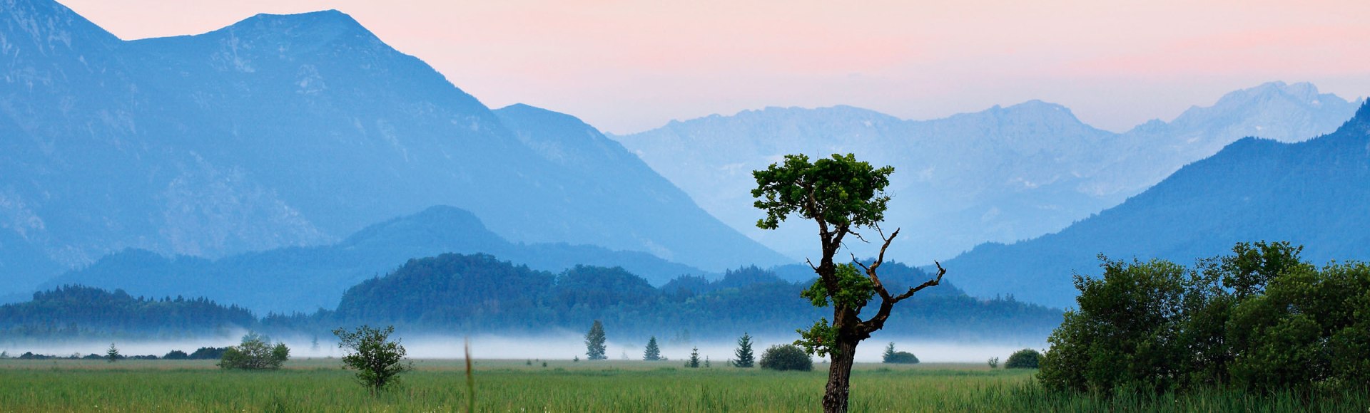 Landschaft im Murnauer Moos, © istockphoto.com©AVTG