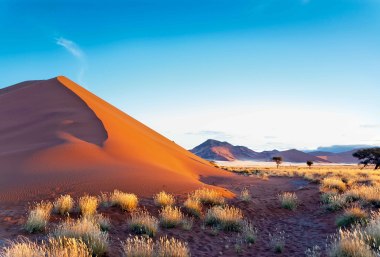 Beinahe magisch ist die Dünenlandschaft des Sossusvlei in der Morgensonne, Namibia, © Iuliia Sokolovska - stock.adobe.com