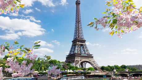 Das Wahrzeichen von Paris: der Eiffelturm, Frankreich, © iStockphoto.com - neirfy