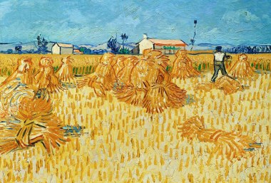 Ernte in der Provence von Vincent van Gogh, Gemälde, © pixabay©WikiImages