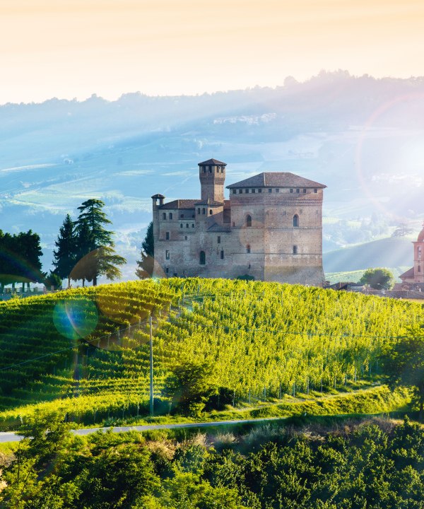 Grinzane Cavour, Itakuen, © maurizio-milanesio - stock.adobe.com