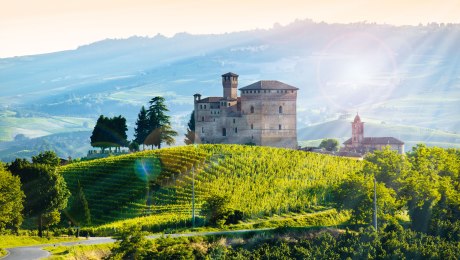 Grinzane Cavour, Itakuen, © maurizio-milanesio - stock.adobe.com