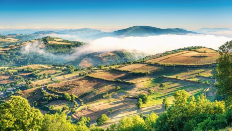 spanien-camino-jakobsweg-copyright-adobestock-tichr