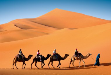 Sahara, © Vladimir Wrangel - Fotolia.com