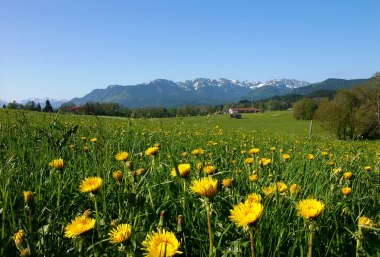 Sommer im Tölzer Land, © Tölzer Land Tourismus Fotograf Klaus Knirk