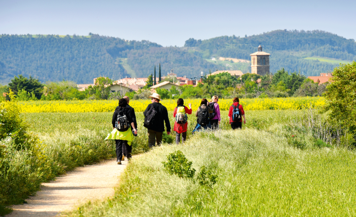 Pilgergruppe unterwegs auf dem Jakobsweg durch Spanien, © Bayerisches Pilgerbüro