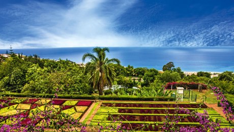 Botanischer Garten in Funchal, Madeira, Portugal, © Vlada Z – stock.adobe.com