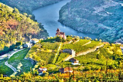 Weinberge im Dourotal, Portugal, © iStockphoto.com - uisportugal
