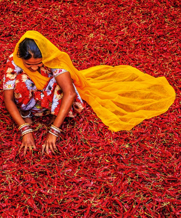 Indische Frau beim Trocknen von Chilies, Indien, © istockphoto.com©Bartosz Hadyniak