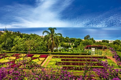 Botanischer Garten in Funchal, Madeira, Portugal, © Vlada Z – stock.adobe.com