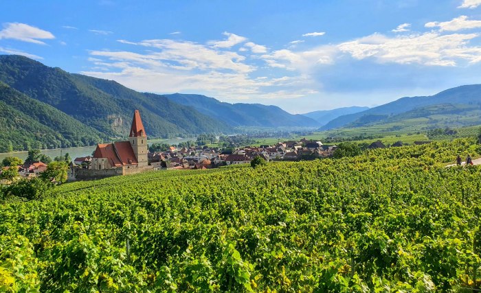Wachau Weinberge Kirche, © Pixabay Tumisu