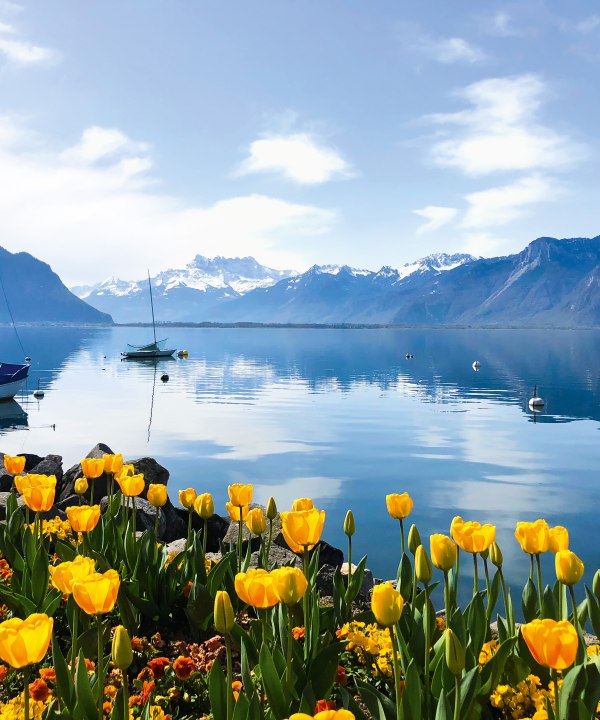 Wunderschöner Genfer See, Schweiz, © Patrick Fontanellaz