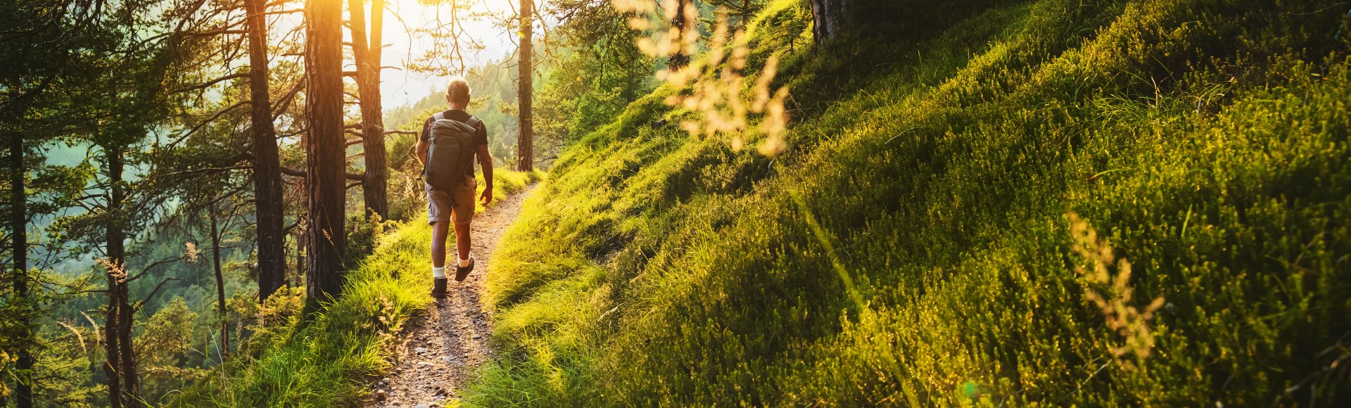 Pilger auf einem Waldweg mit Sonnenuntergang, © Istockphoto.com©piola666