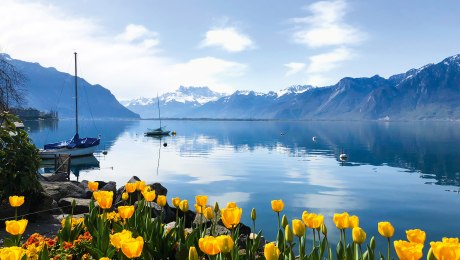 Wunderschöner Genfer See, Schweiz, © Patrick Fontanellaz