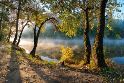 Bild Nationalpark