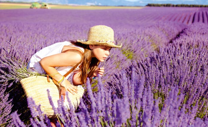 Frau im Lavendelfeld, © istockphoto.com©Maica
