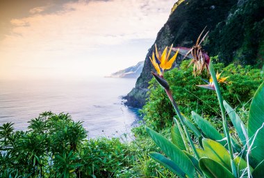 Madeiras traumhafte Küste, © Istockphoto.com@Jacek_Sopotnicki