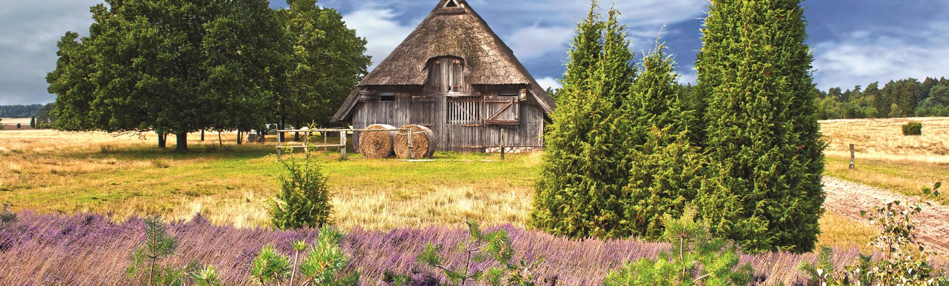 Heideblüte in der Lüneburger Heide, Deutschland, © Gabriele Rohde - Fotolia.com