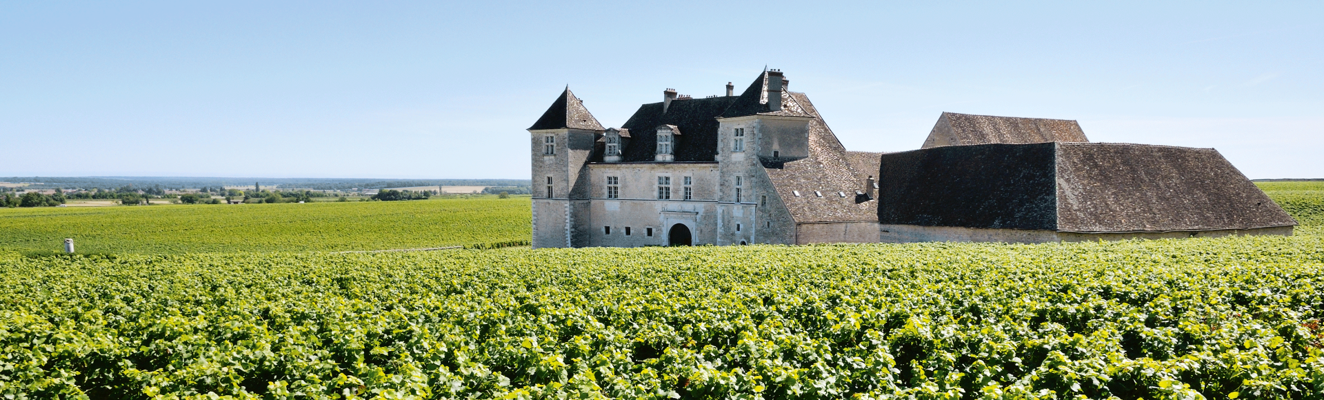 Idyllisch von Weinbergen umgeben liegt das Château du Clos de Vougeot, Frankreich	, © Gilles Oster - Fotolia.com