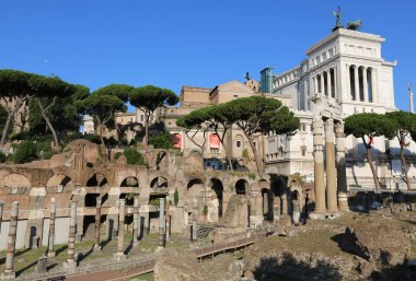 Forum Romanum in Rom, © Bayerisches Pilgerbüro