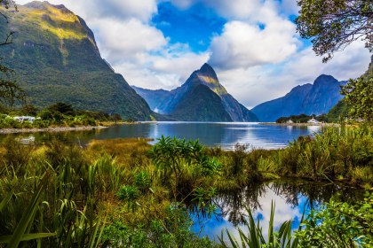 Milford Sound, Neuseeland, © Adobe-Stock Avraham Kushinirov