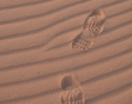 Fußspuren im Sand in der Wadi Rum Wüste, Jordanien, © Bayerisches Pilgerbüro