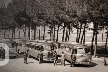 Vier Busse, von Personen umgeben stehen vor S. Paolo in Rom, Jahr 1950, © Bayerisches Pilgerbüro