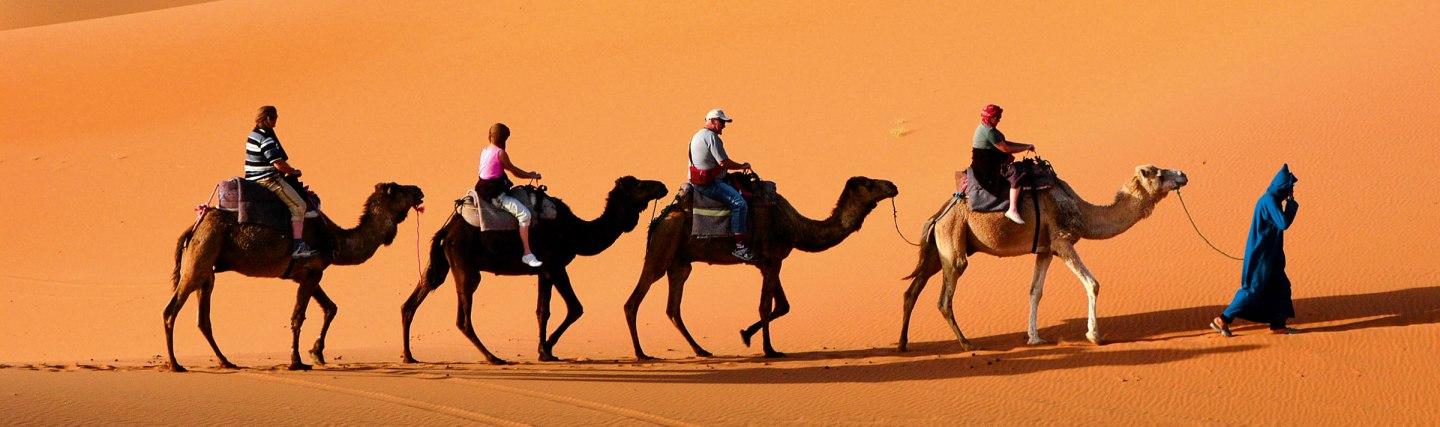 Sahara, © Vladimir Wrangel - Fotolia.com