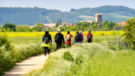 Pilgergruppe unterwegs auf dem Jakobsweg durch Spanien, © Bayerisches Pilgerbüro