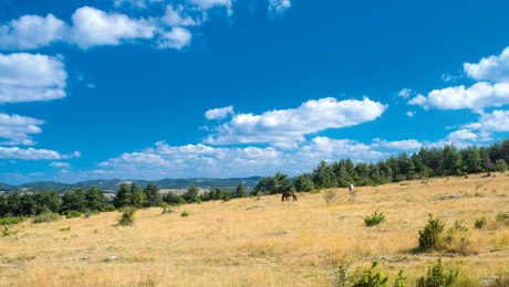 Die Causses – Hochebene im französischen Zentralmassiv, Frankreich, © istockphoto.com - olivierpieri