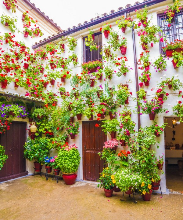 Traditioneller Hinterhof mit Blumen in Cordoba, Spanien, © Balate Dorin – stock.adobe.com