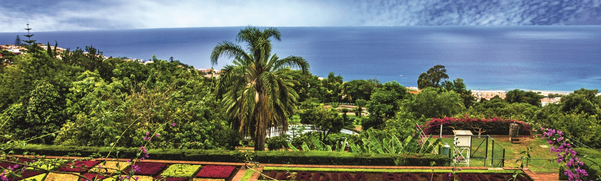 Botanischer Garten in Funchal, Madeira , © Vlada Z - stock.adobe.com