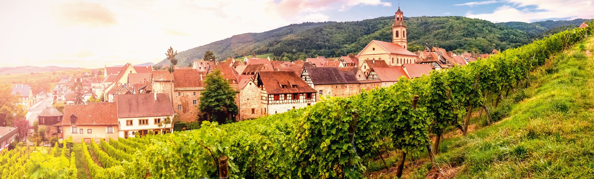 Blick auf das pittoreske Städtchen Riquewihr, Frankreich, © Sina-Ettmer – stock.adobe.com